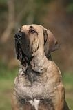 FILA BRASILEIRO 190
